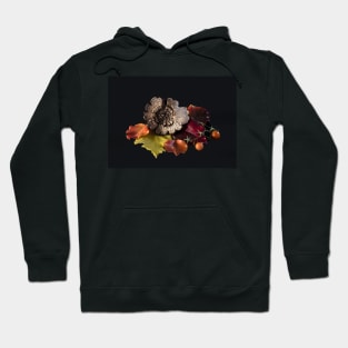 Purely Autumn Hoodie